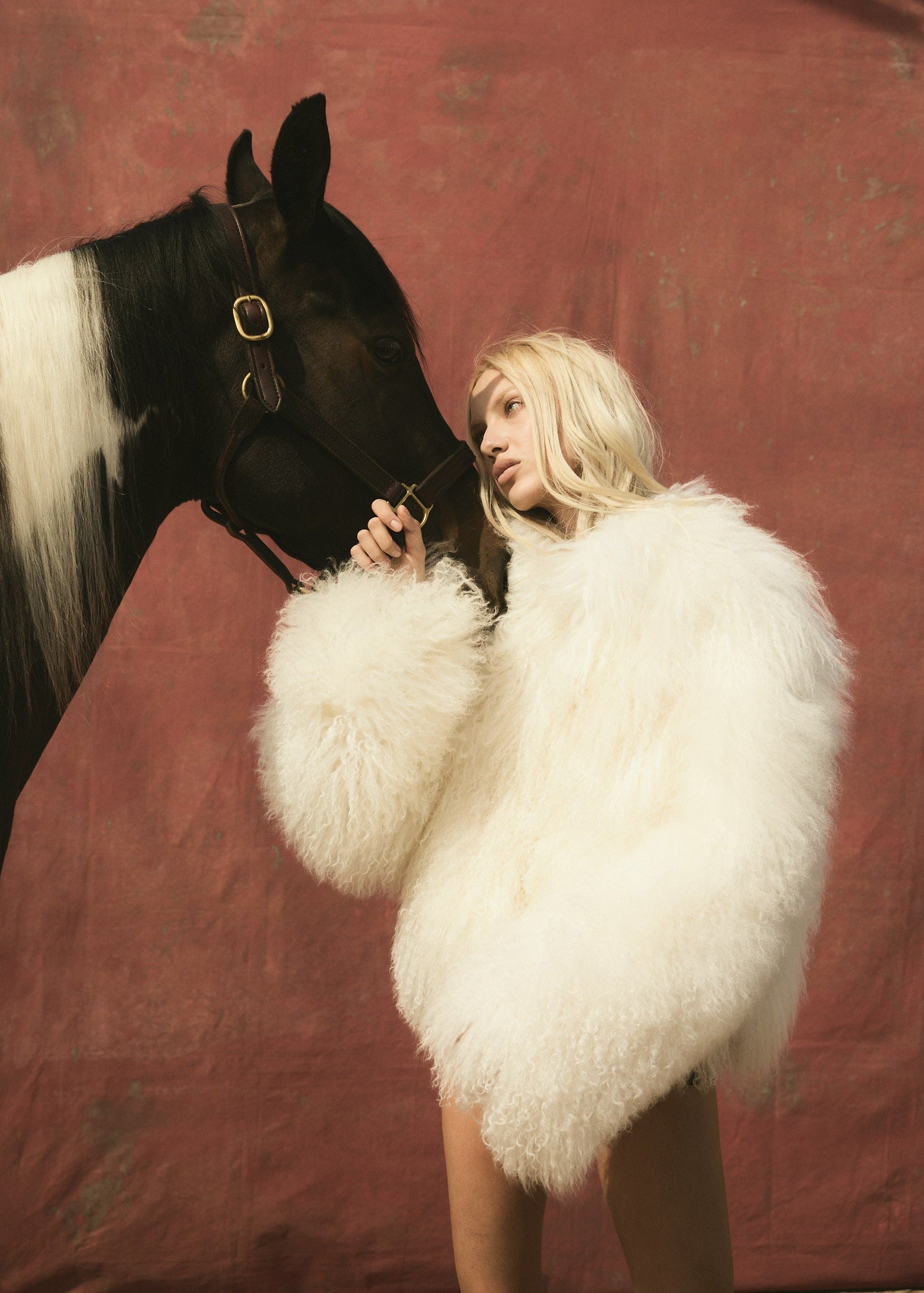 Cropped Mongolian Shearling Coat in Ivory - Auter